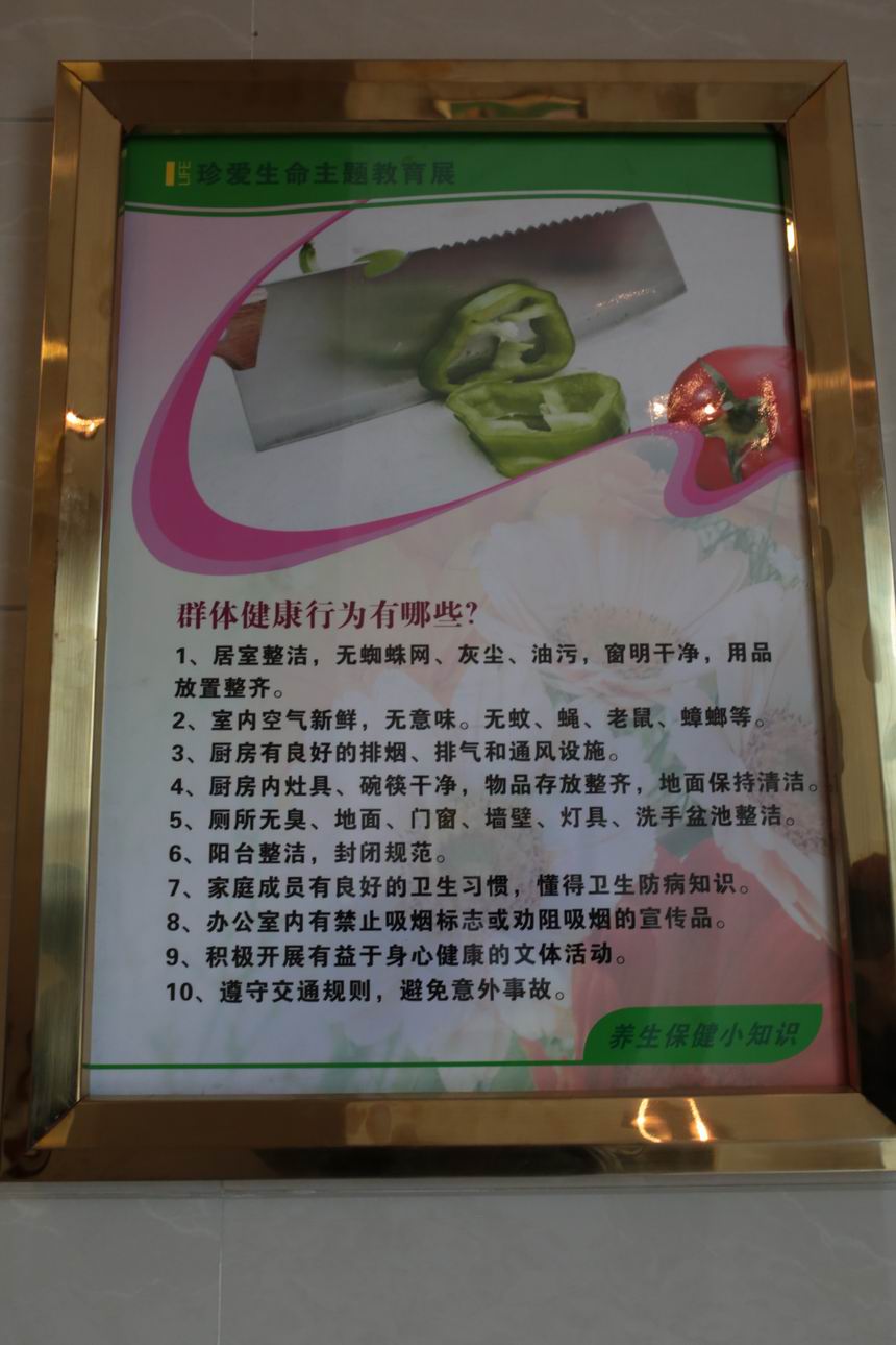 群体健康行为